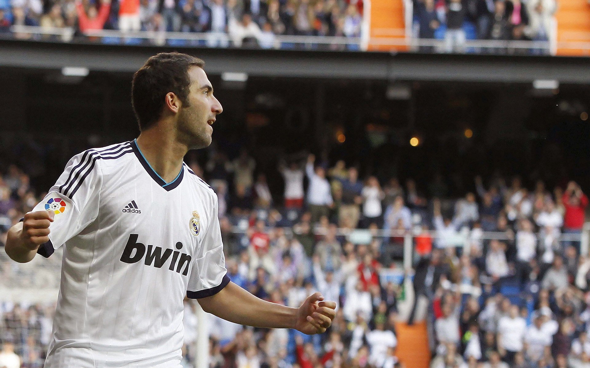 球迷文化塑造体育精神 激情与团结共筑赛场传奇