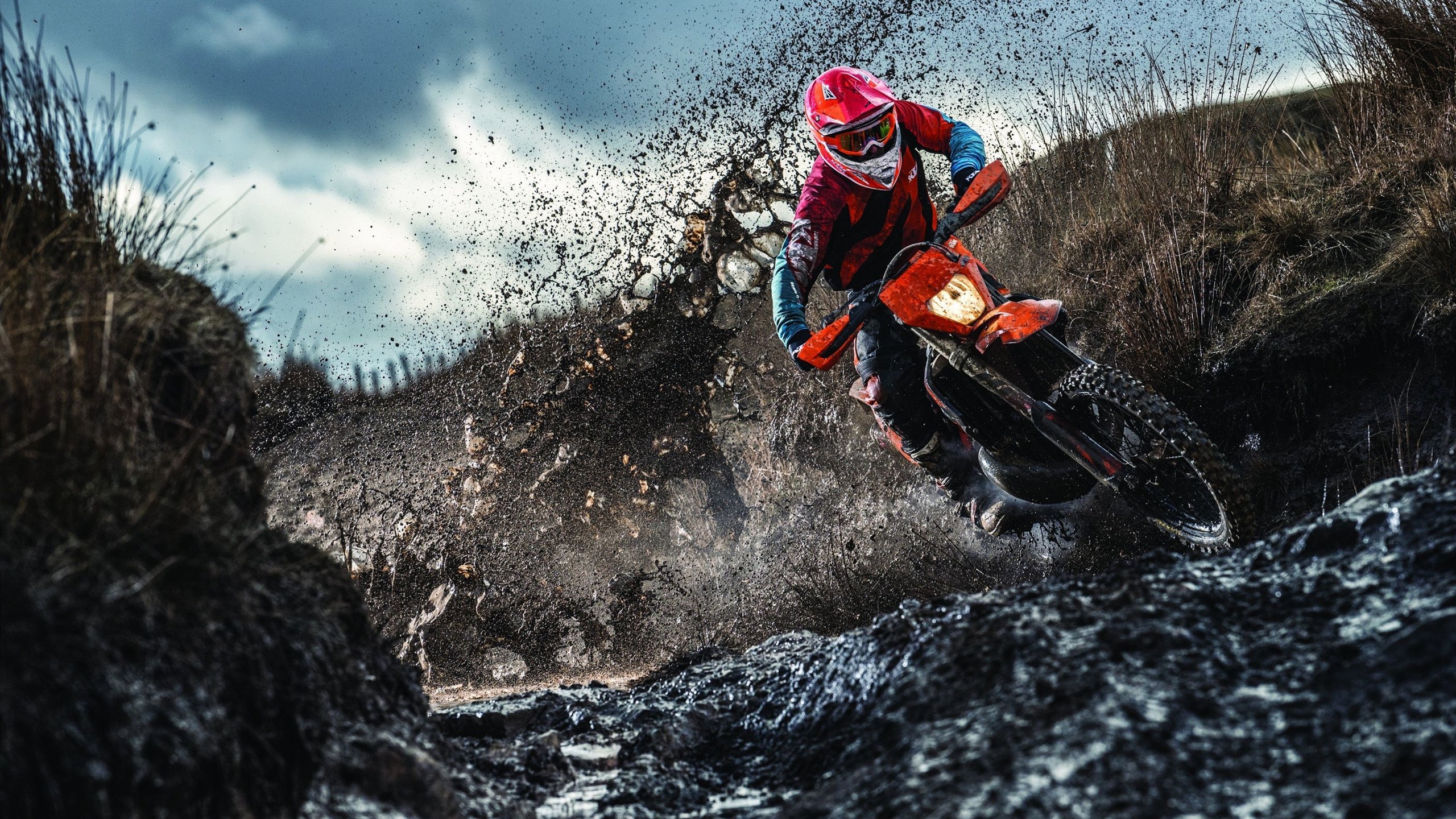 中国跳水队包揽世锦赛全部金牌，创历史最佳